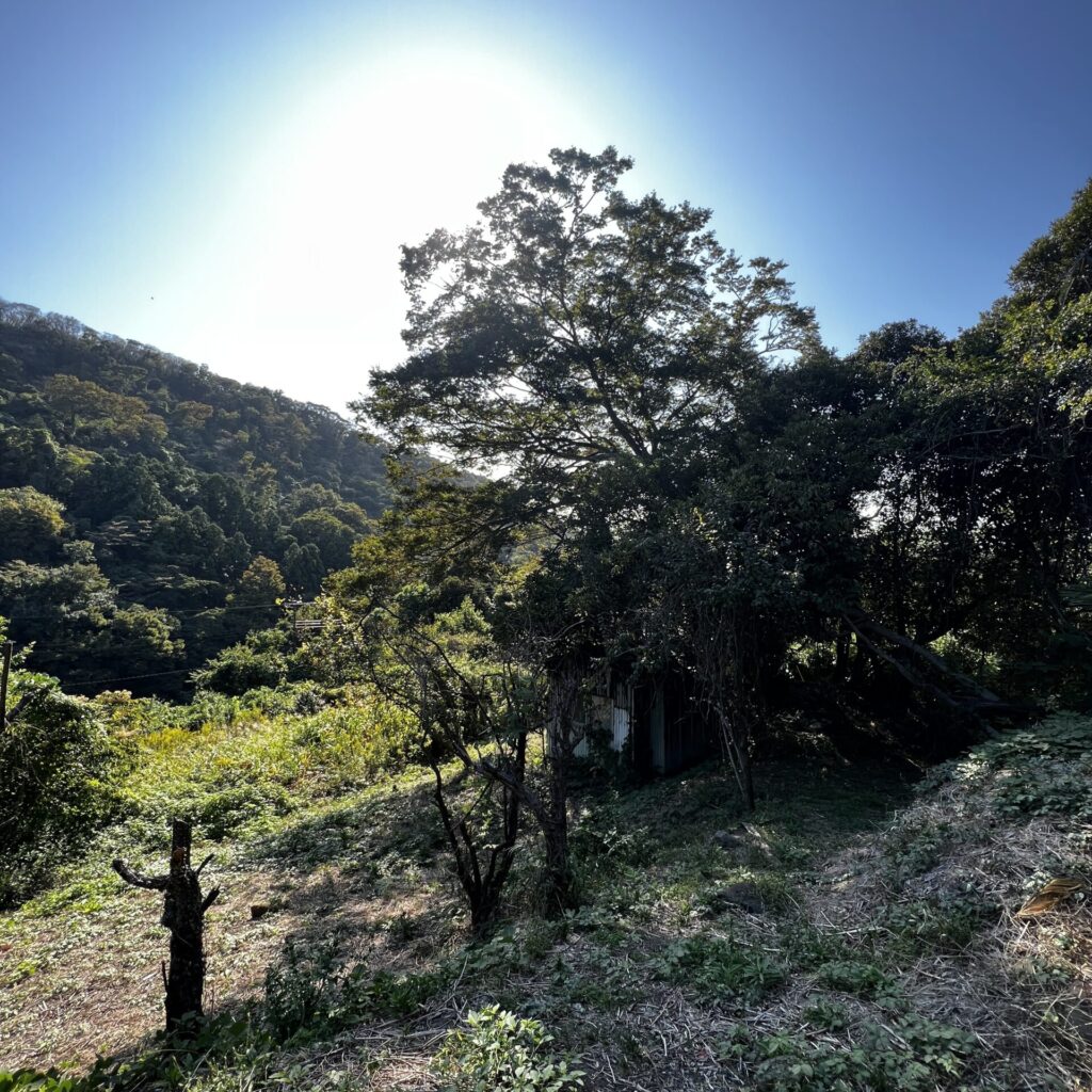 平家の隠れ里