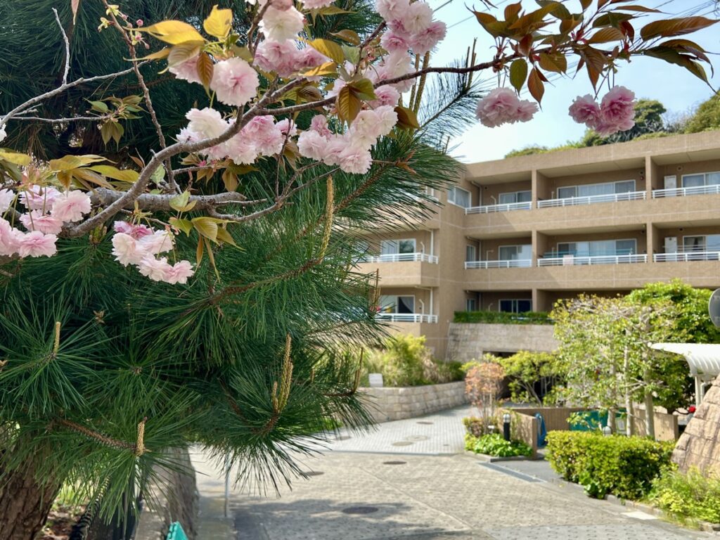 【SOLD】江ノ電が海をかすめた先