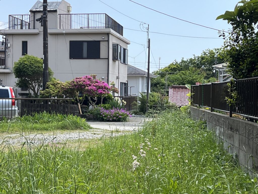 竹の森