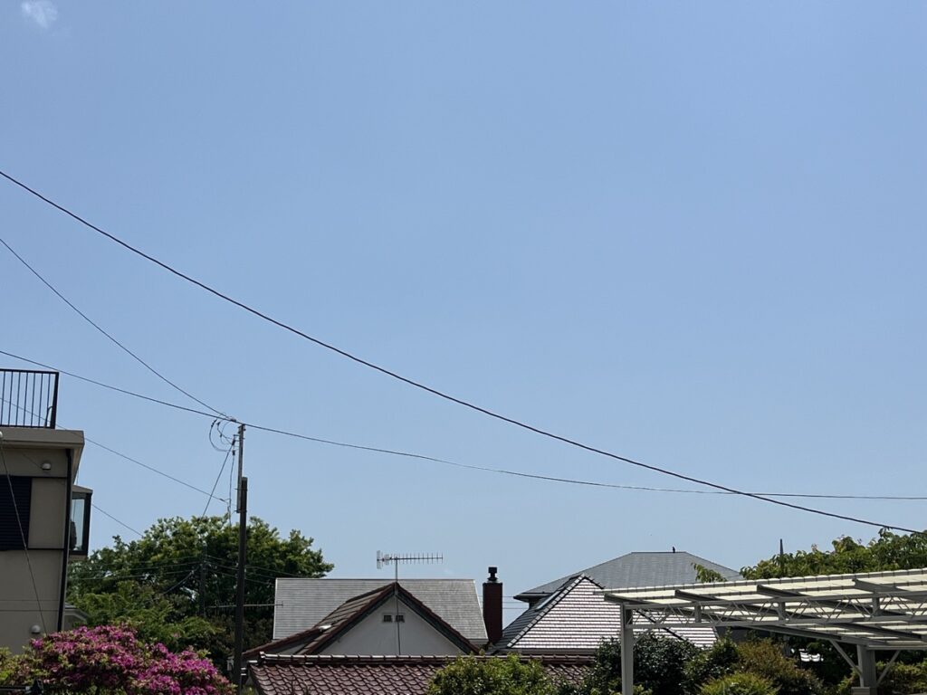 竹の森