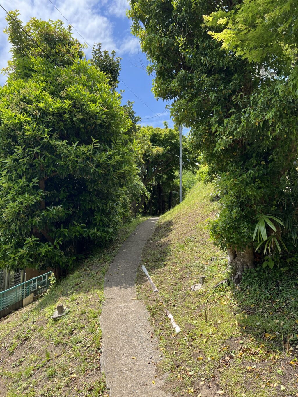 町と森の境界線で