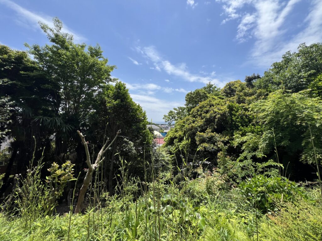町と森の境界線で