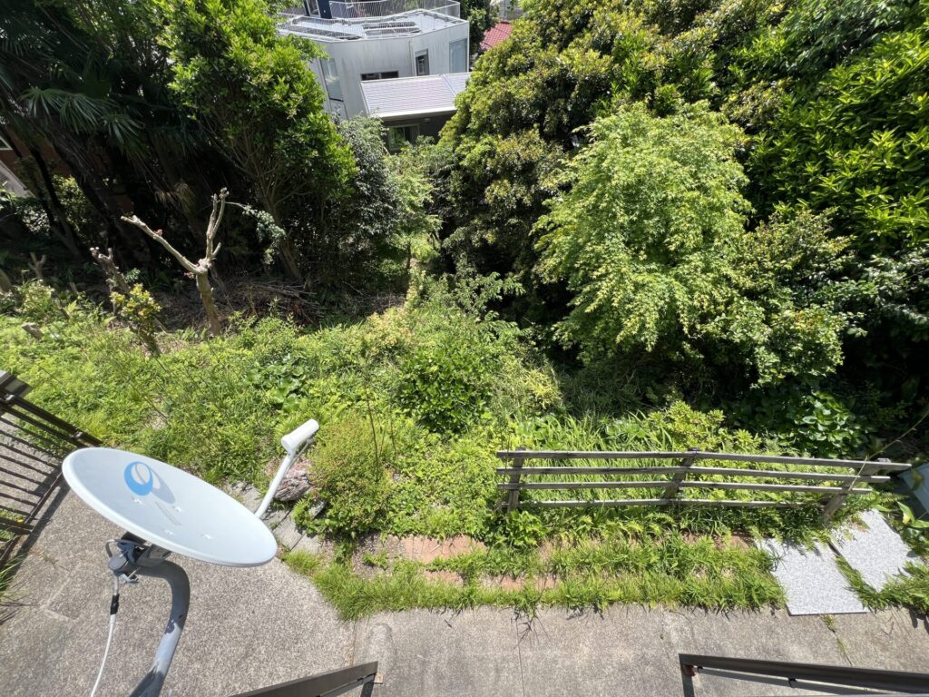 町と森の境界線で