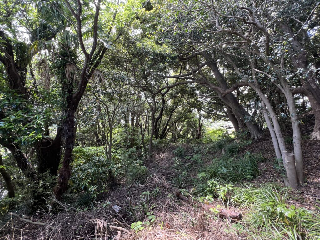 町と森の境界線で
