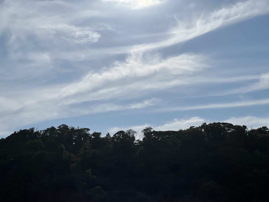 海を語る山、山を歌う海