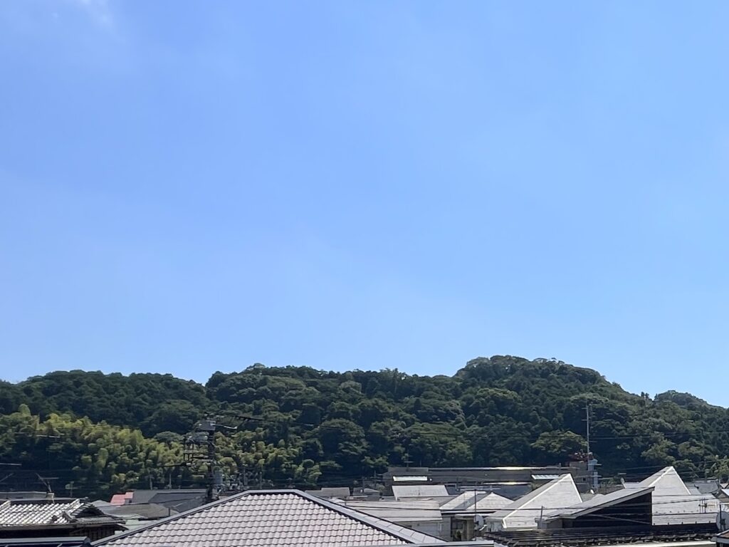 ゆと利
