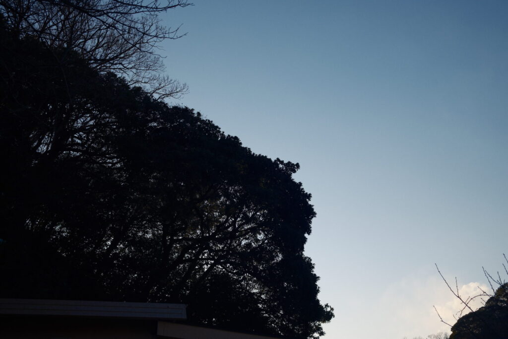 欲が、静かになる場所。