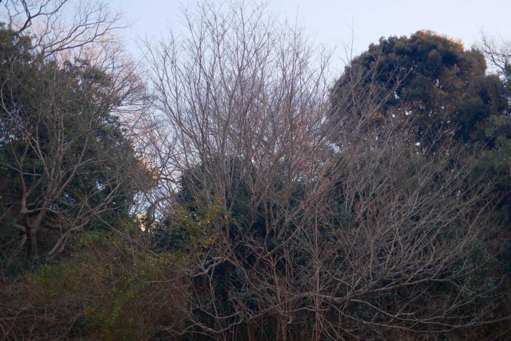 欲が、静かになる場所。